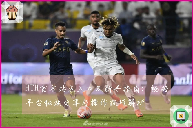 HTH官方站点入口及新手指南：畅游平台秘诀分享与操作技巧解析
